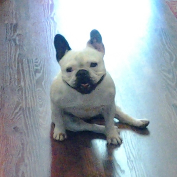 Meet your Posher, Karin - Picture 3 of 4